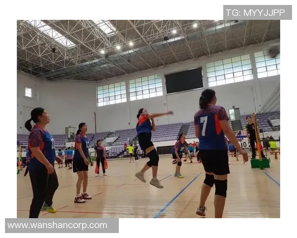杭州排球队战术分析与表现评估全面解读锦标赛精彩瞬间